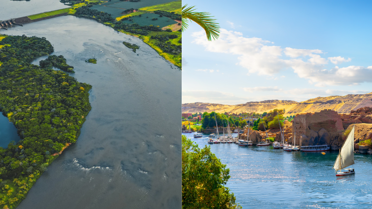 نهر الامازون ونهر النيل
